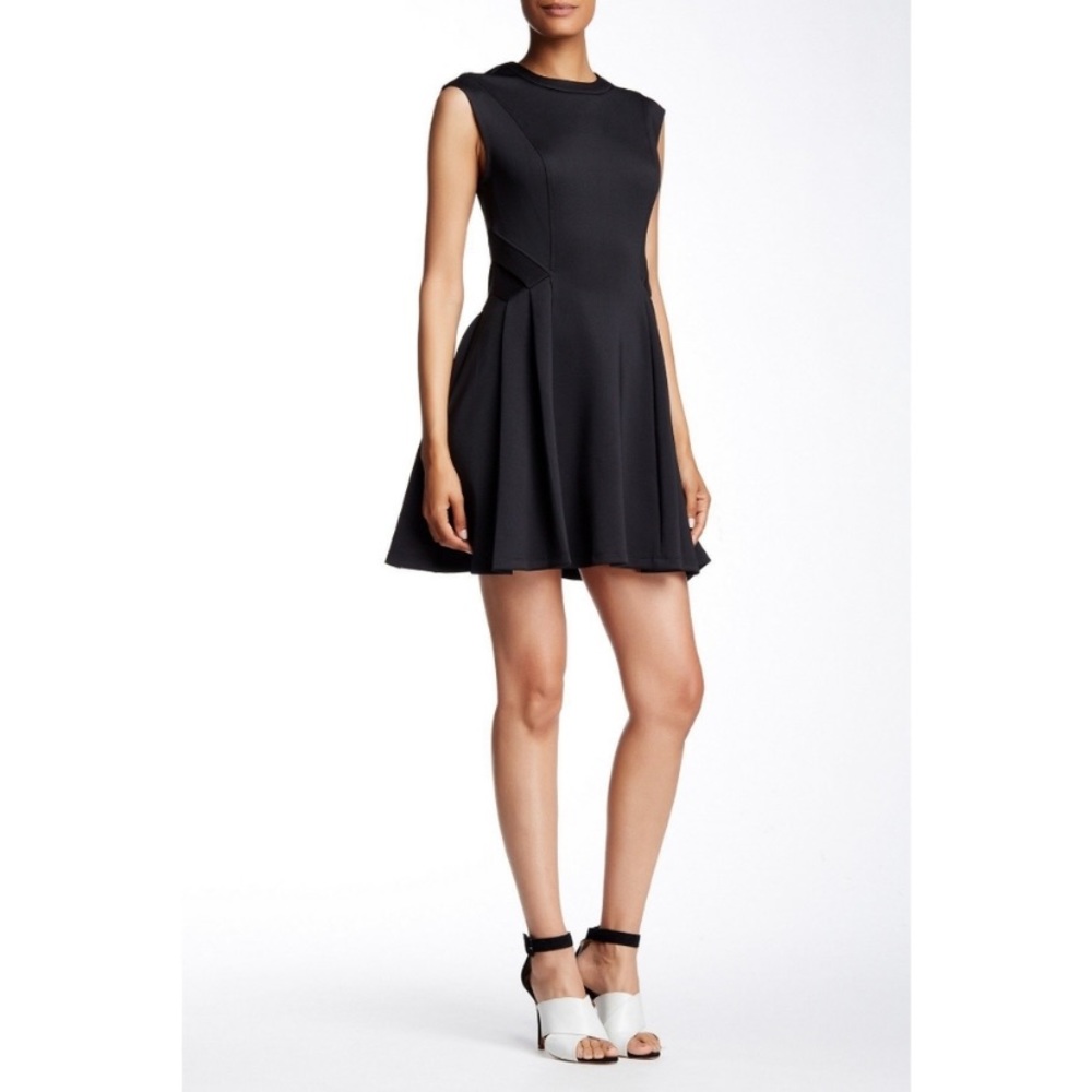 Ted Baker Skater Dress